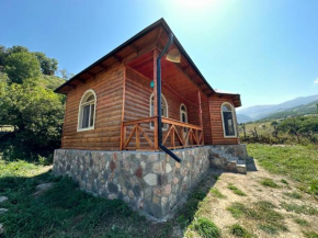 Shahdag wood house